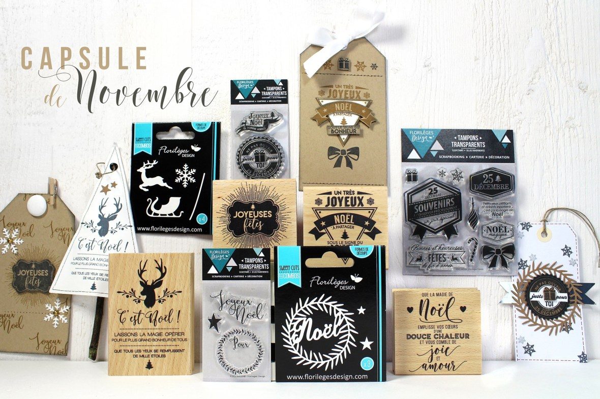 pack-capsule-de-novembre-2016-2