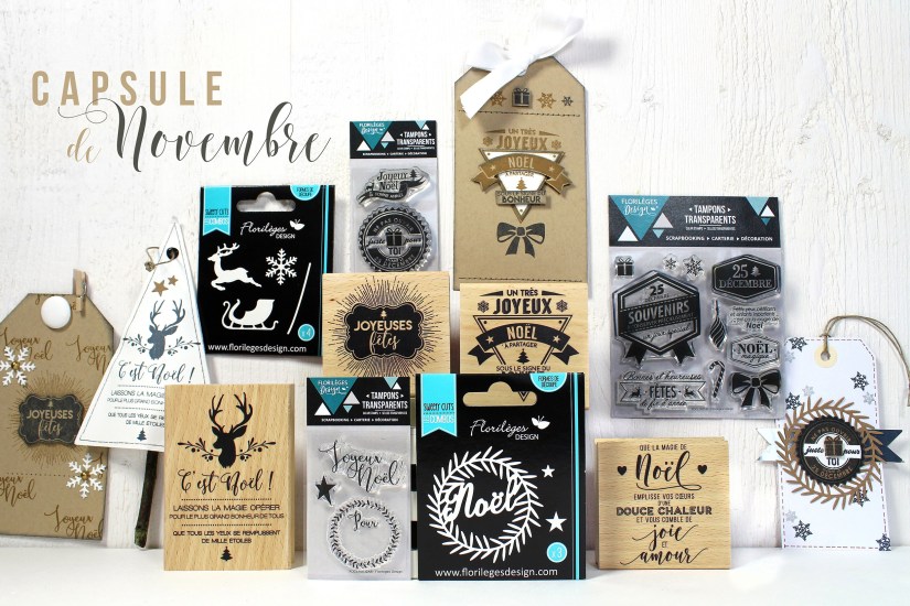 pack-capsule-de-novembre-2016-2