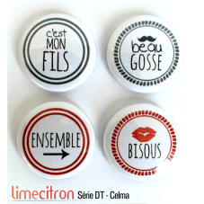 badges-lime-citron-1-serie-dt-celma