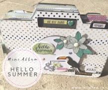 VIGNETTE HELLO SUMMER