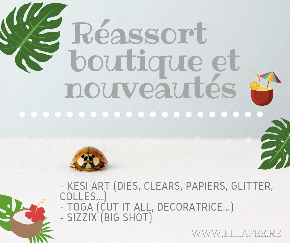 1 reassort et nouveautes aout 2019