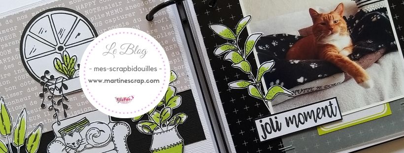 CHOU AND FLOWERS AURELIE banniere